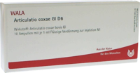 ARTICULATIO coxae GL D 6 Ampullen - 10X1ml