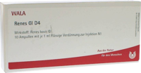 RENES GL D 4 Ampullen - 10X1ml