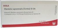 GLANDULA SUPRARENALIS cortex GL D 4 Ampullen - 10X1ml