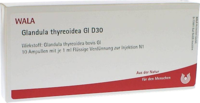 GLANDULA THYREOIDEA GL D 30 Ampullen - 10X1ml