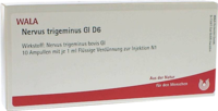 NERVUS TRIGEMINUS GL D 6 Ampullen - 10X1ml