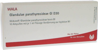 GLANDULAE PARATHYREOIDEAE GL D 30 Ampullen - 10X1ml