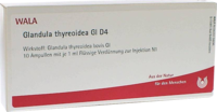 GLANDULA THYREOIDEA GL D 4 Ampullen - 10X1ml