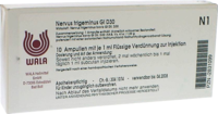 NERVUS TRIGEMINUS GL D 30 Ampullen - 10X1ml