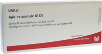 APIS EX animale GL D 6 Ampullen - 10X1ml