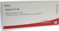 EPIPHYSIS GL D 6 Ampullen - 10X1ml