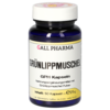 GRÜNLIPPMUSCHEL GPH Kapseln