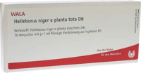 HELLEBORUS NIGER e planta tota D 6 Ampullen - 10X1ml