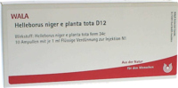 HELLEBORUS NIGER e planta tota D 12 Ampullen - 10X1ml