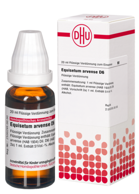 EQUISETUM ARVENSE D 6 Dilution 20 ml
