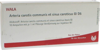 ARTERIA CAROTIS COMMUNIS et sin.carot.GL D 5 Amp. - 10X1ml