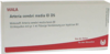 ARTERIA CEREBRI media GL D 5 Ampullen