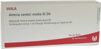 ARTERIA CEREBRI media GL D 5 Ampullen - 10X1ml