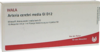 ARTERIA CEREBRI media GL D 12 Ampullen