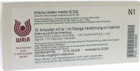 ARTERIA CEREBRI media GL D 30 Ampullen - 10X1ml