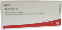 COCHLEA GL D 5 Ampullen - 10X1ml