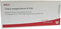 CORPUS AMYGDALOIDEUM GL D 30 Ampullen - 10X1ml