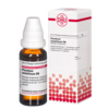 PLUMBUM METALLICUM D 6 Dilution