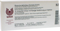 MUSCULUS DELTOIDEUS Komplex GL D 15 Ampullen - 10X1ml