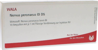 NERVUS PERONAEUS GL D 5 Ampullen - 10X1ml