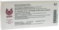 NERVUS PUDENDUS GL D 5 Ampullen - 10X1ml