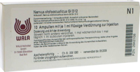 NERVUS STATOACUSTICUS GL D 12 Ampullen - 10X1ml
