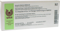 ISCUCIN salicis Stärke D Ampullen - 10X1ml