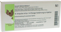 ISCUCIN salicis Stärke F Ampullen - 10X1ml