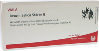 ISCUCIN salicis Stärke G Ampullen - 10X1ml