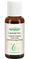 LAVENDEL ÖL fein - 30ml - Aetherische Öle