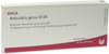 ARTICULATIO genus GL D 5 Ampullen