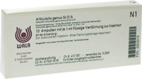 ARTICULATIO genus GL D 15 Ampullen - 10X1ml