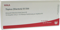 THYMUS GLANDULA GL D 30 Ampullen - 10X1ml