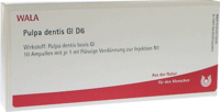 PULPA DENTIS GL D 6 Ampullen - 10X1ml