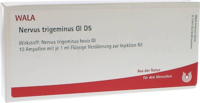 NERVUS TRIGEMINUS GL D 5 Ampullen - 10X1ml