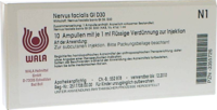 NERVUS FACIALIS GL D 30 Ampullen - 10X1ml