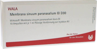 MEMBRANA sinuum paransalium GL D 30 Ampullen - 10X1ml