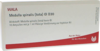 MEDULLA SPINALIS tota GL D 30 Ampullen
