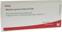 MEDULLA SPINALIS tota GL D 30 Ampullen - 10X1ml