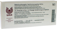 MEDULLA OBLONGATA Ventriculus quartus GL D 6 Amp. - 10X1ml