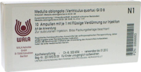MEDULLA OBLONGATA Ventriculus quartus GL D 8 Amp. - 10X1ml