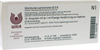 GLANDULAE SUPRARENALES GL D 8 Ampullen - 10X1ml