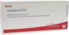 HYPOPHYSIS GL D 12 Ampullen