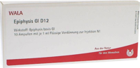 EPIPHYSIS GL D 12 Ampullen - 10X1ml