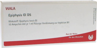 EPIPHYSIS GL D 5 Ampullen - 10X1ml