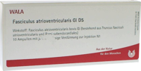 FASCICULUS atrioventricularis GL D 5 Ampullen - 10X1ml