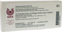 ARNICA E Planta tota D 12 Ampullen - 10X1ml