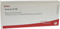 AMNION GL D 6 Ampullen - 10X1ml
