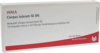 CORPUS LUTEUM GL D 6 Ampullen