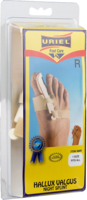 HALLUX Valgus Nachtschiene rechts - 1St
